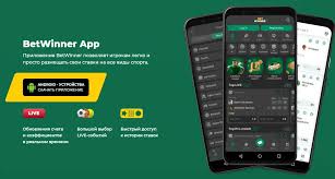BetWinner Online Bookmaker Your Guide to Exciting Betting Experiences